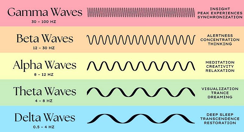 chart showing the different types of brainwaves